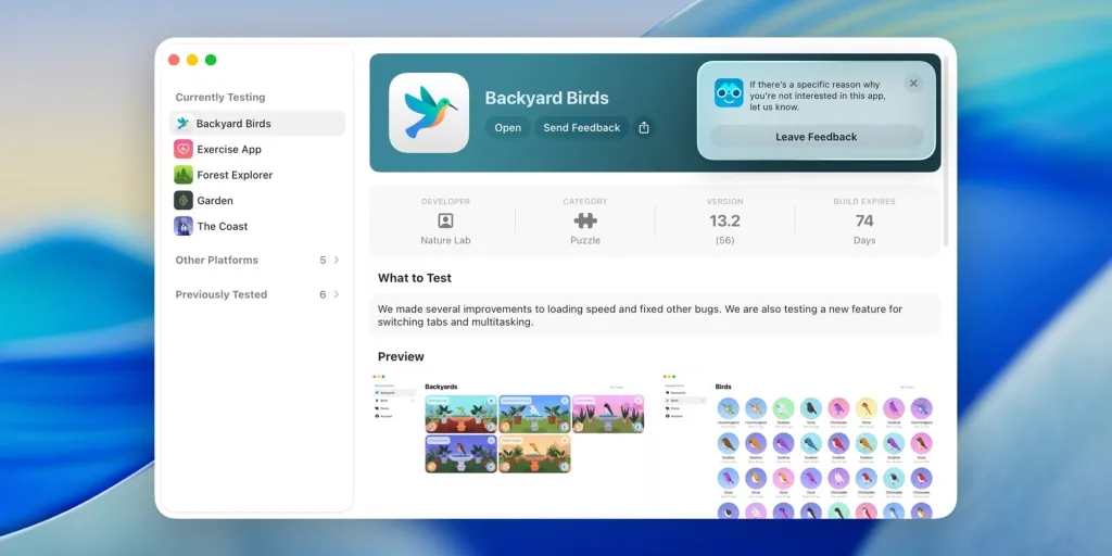 Detalhes da nova interface