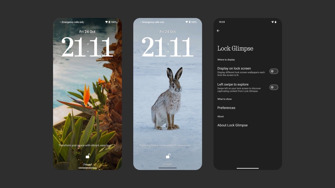 nothingOS Lock Glimpse
