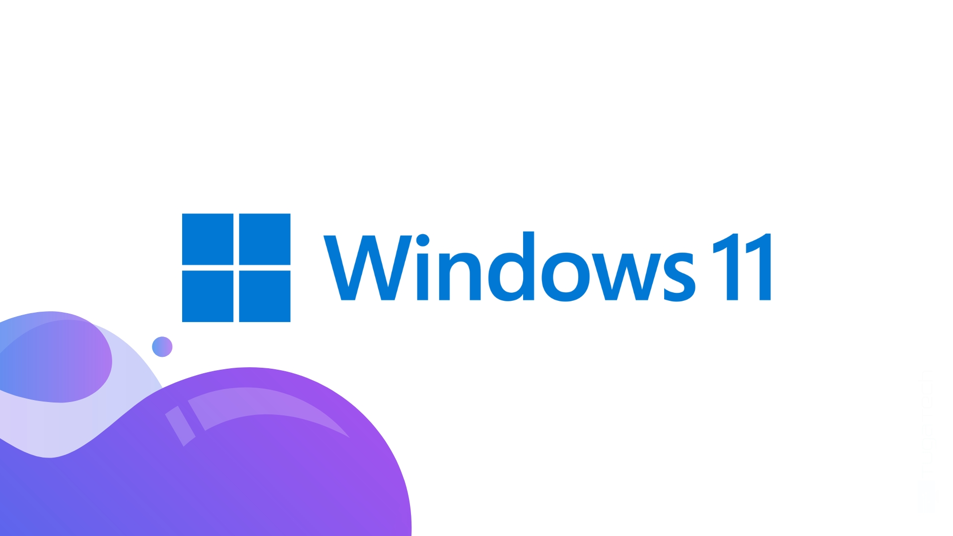windows 11 logo