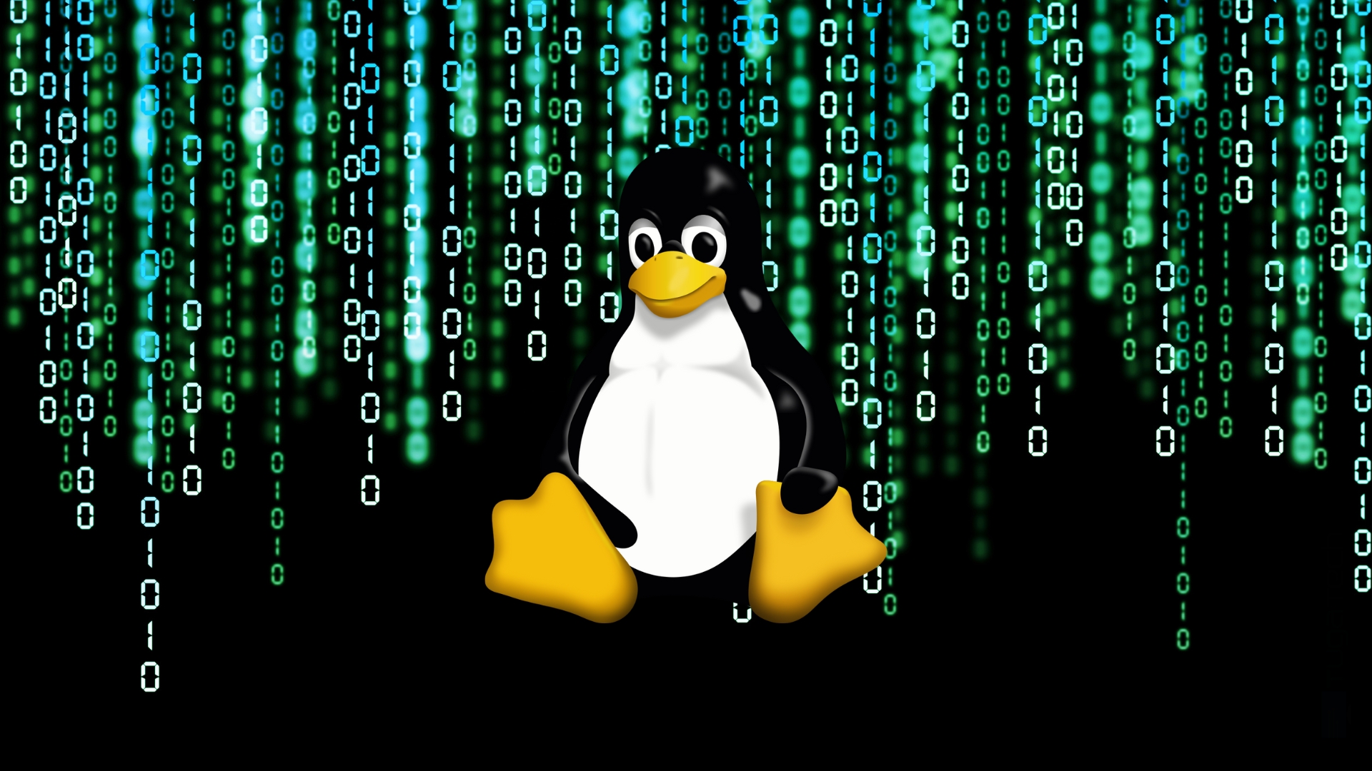 Linux em fundo de código