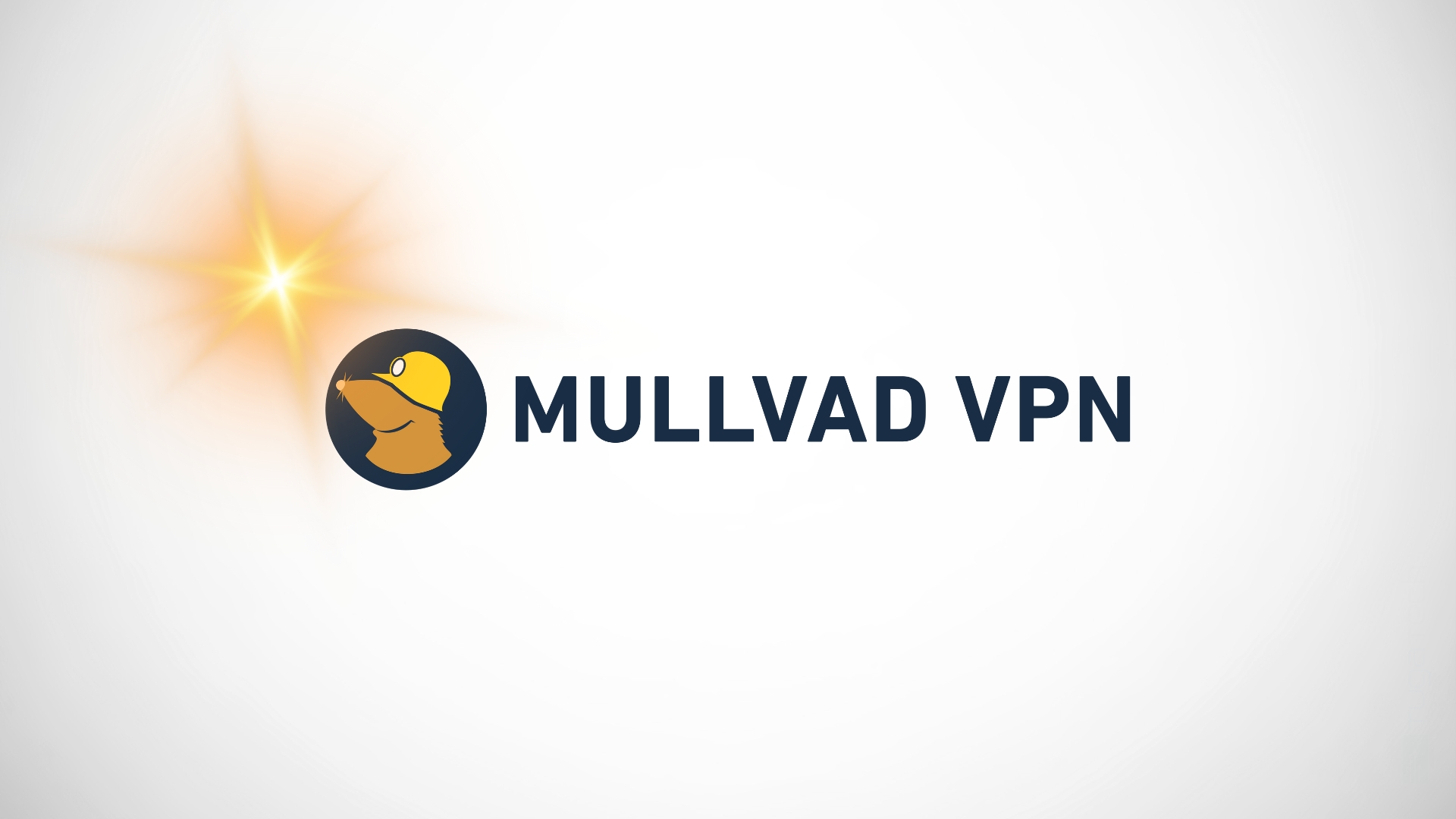 Mullvad VPN