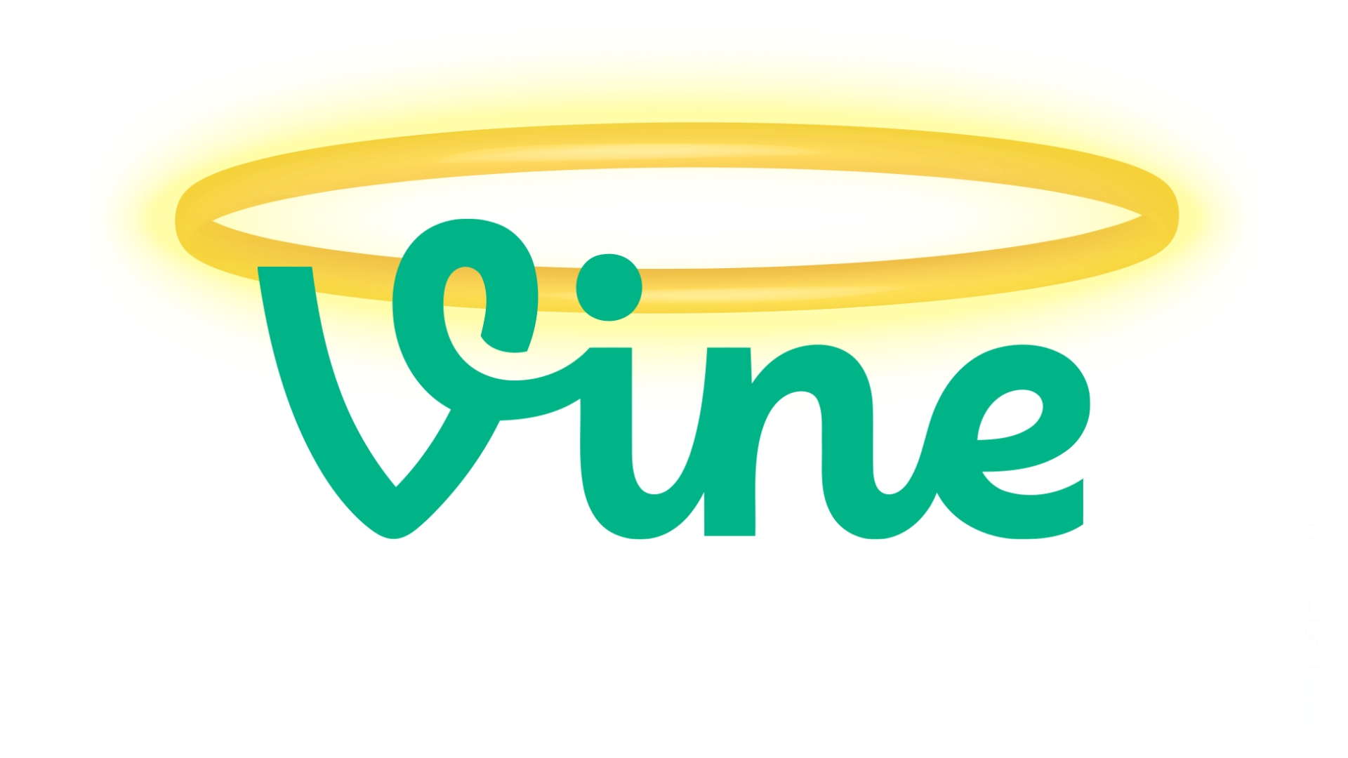 vine logo