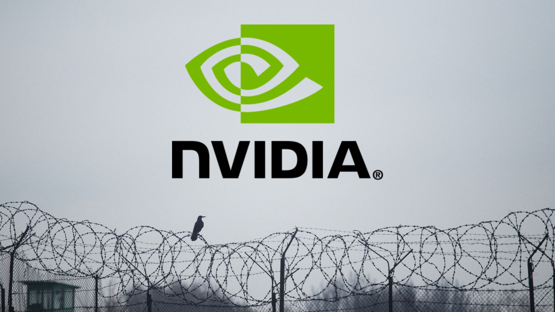 Nvidia em prisão