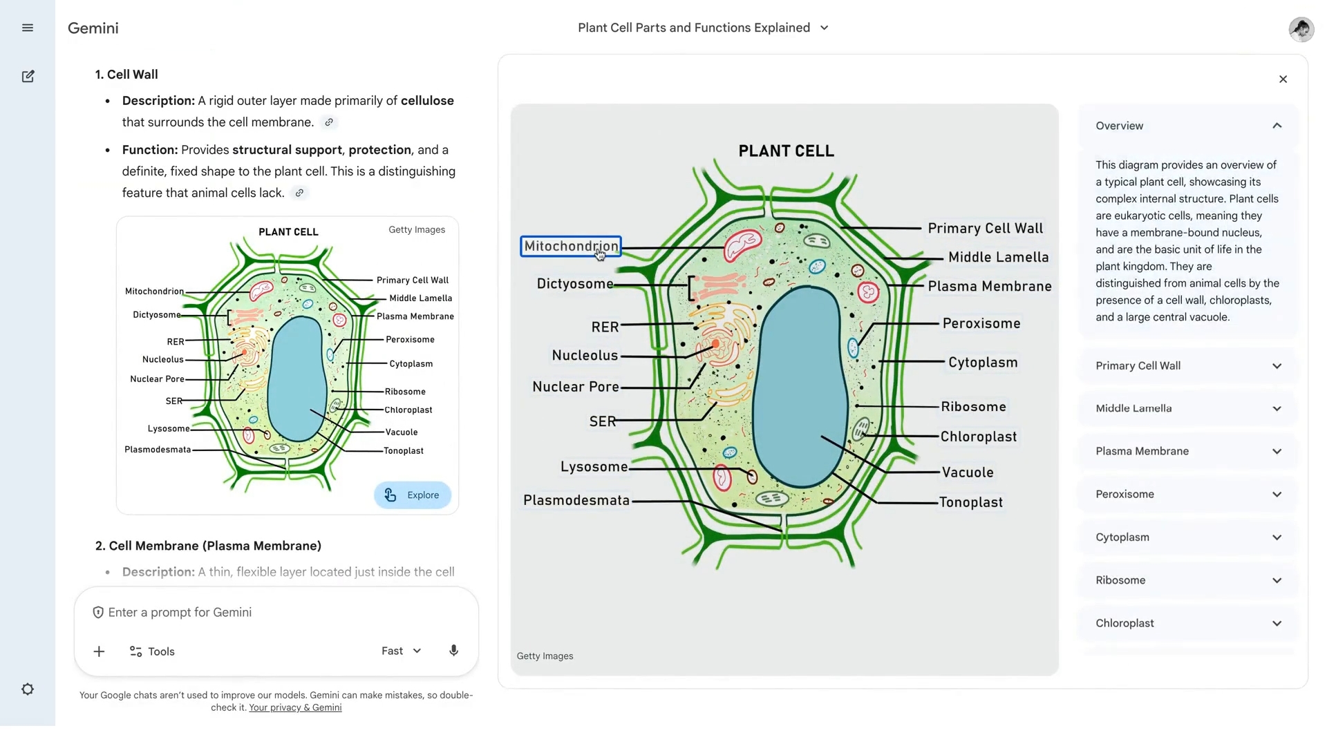 detalhes interativos de imagens no gemini