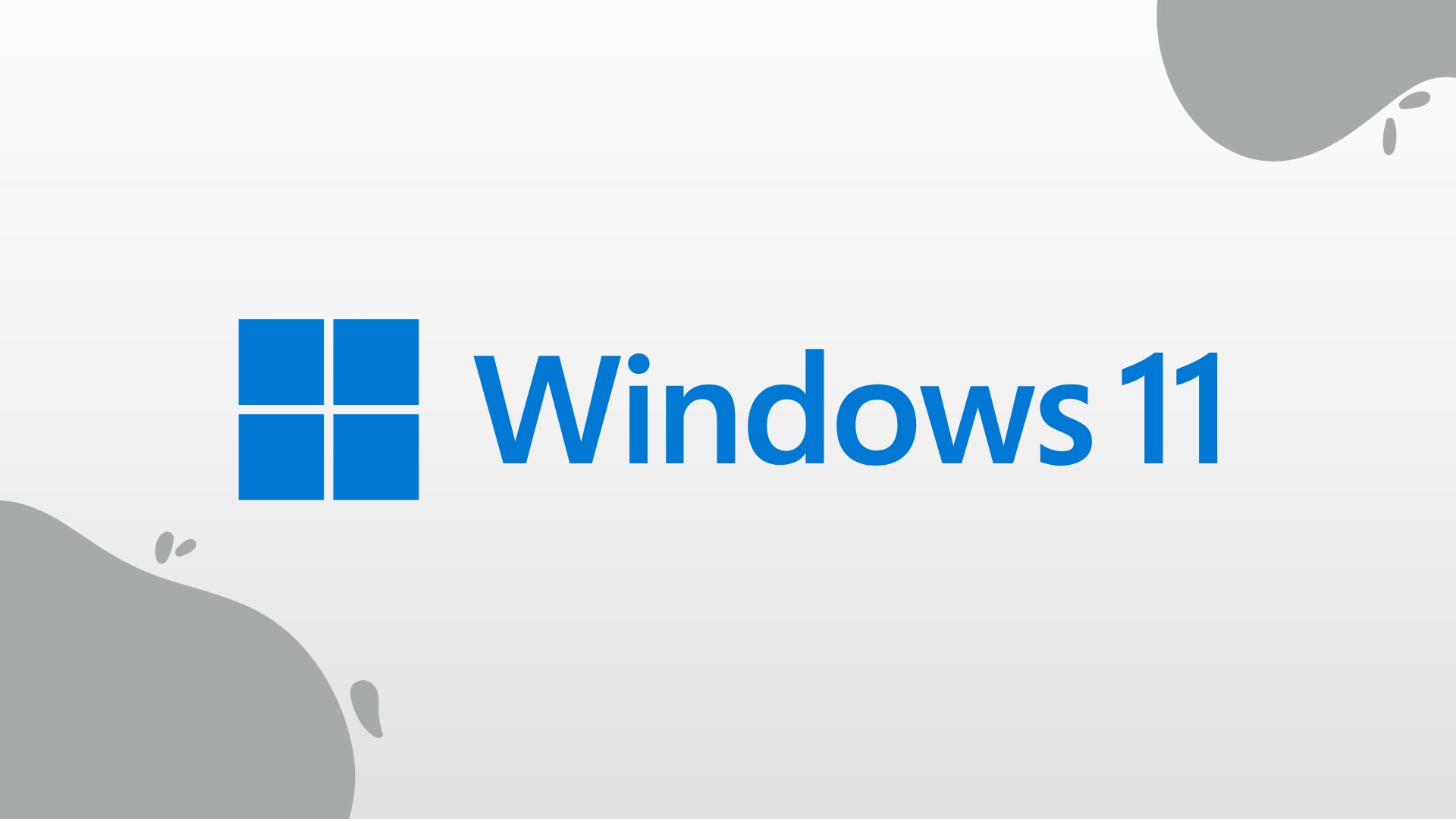 Windows 11 logo