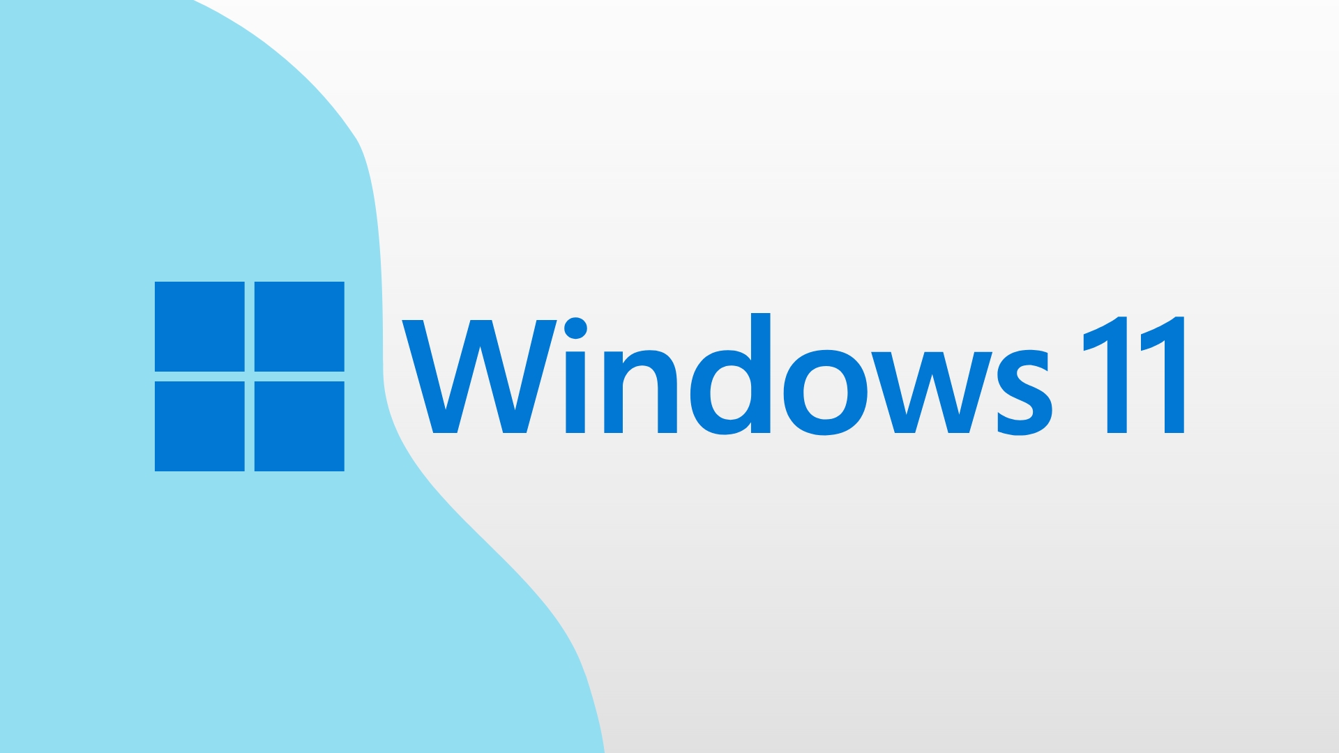 Windows 11 logo