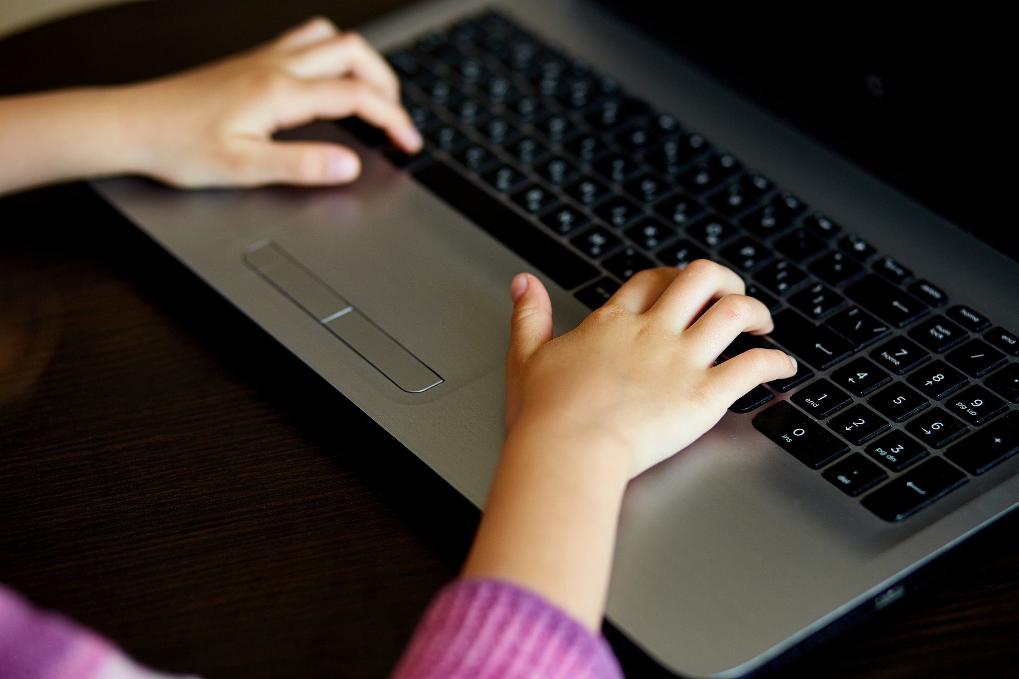 criança a usar computador