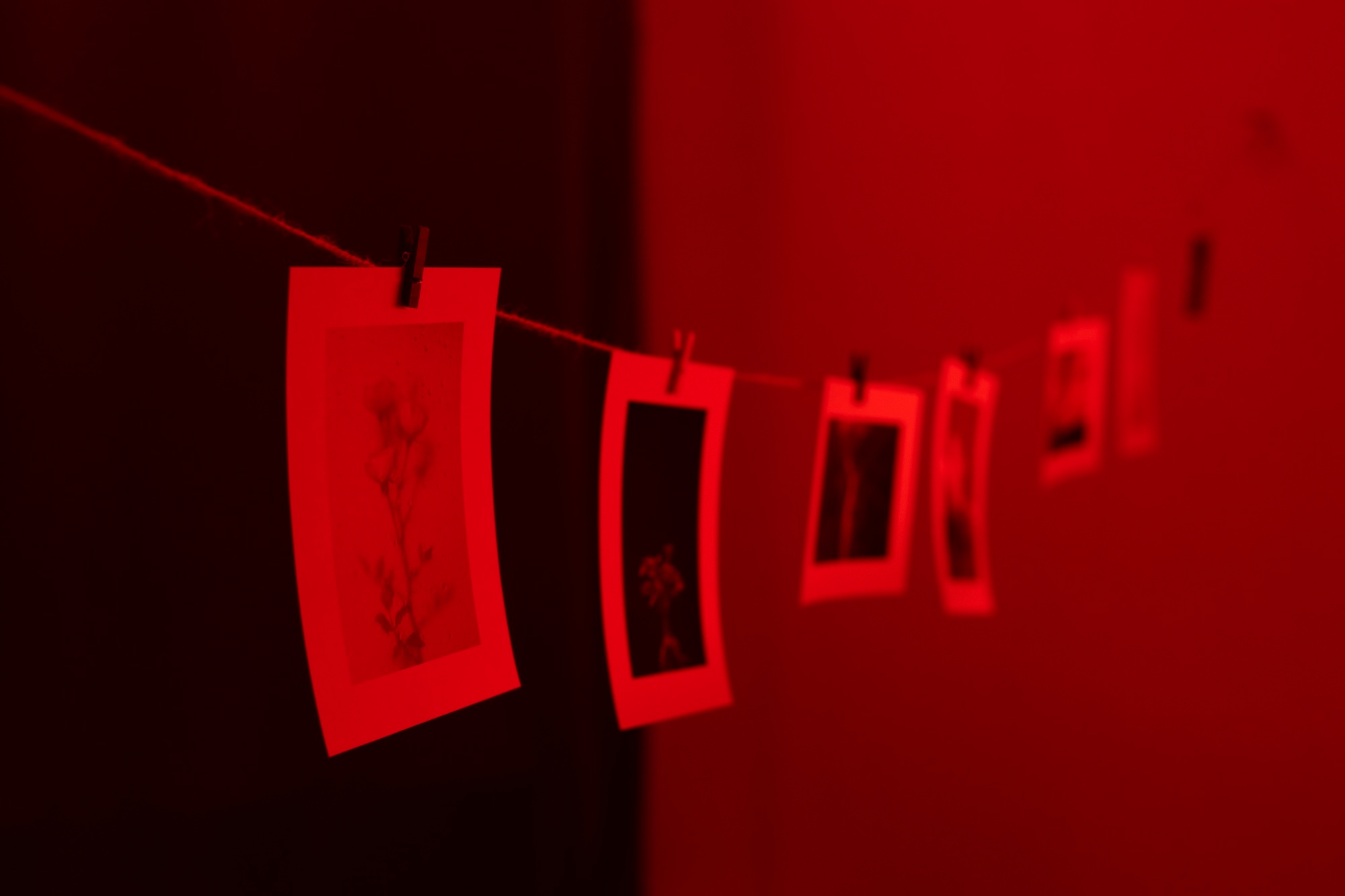 Fotos em fundo vermelho