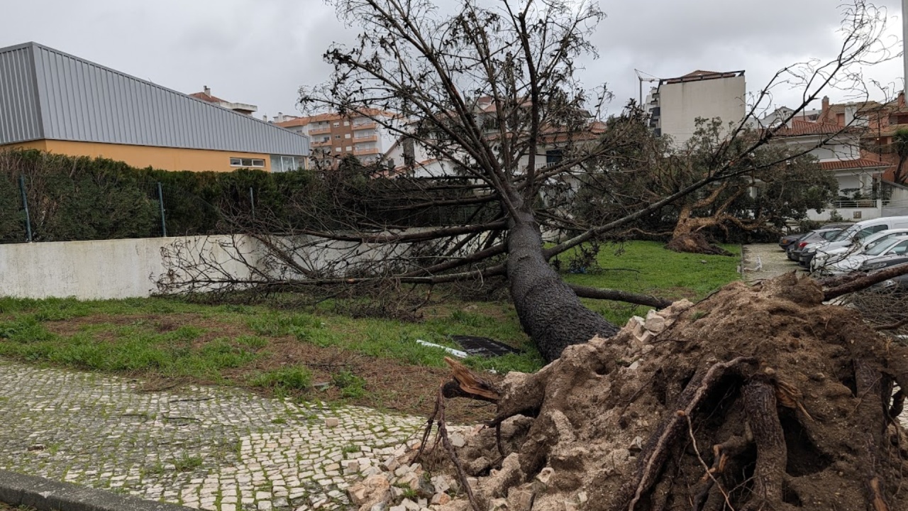 Efeitos da tempestade