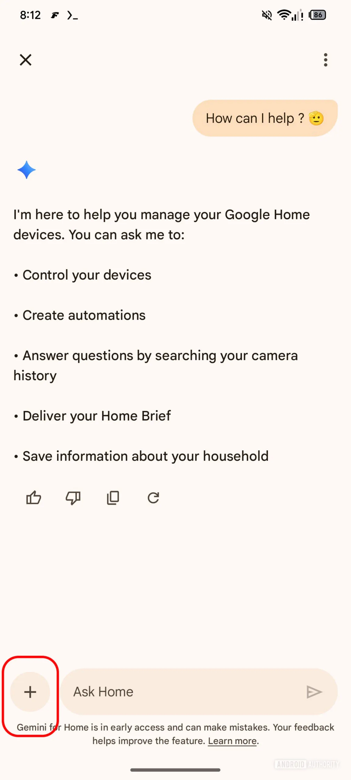 google home no gemini