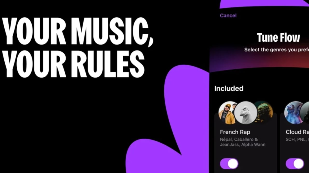 Deezer Flow Tuner