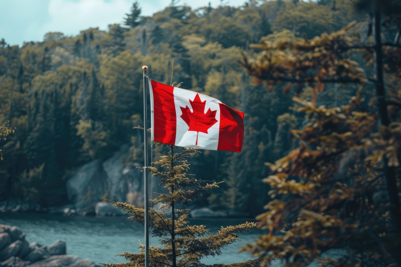 bandeira do Canada na floresta