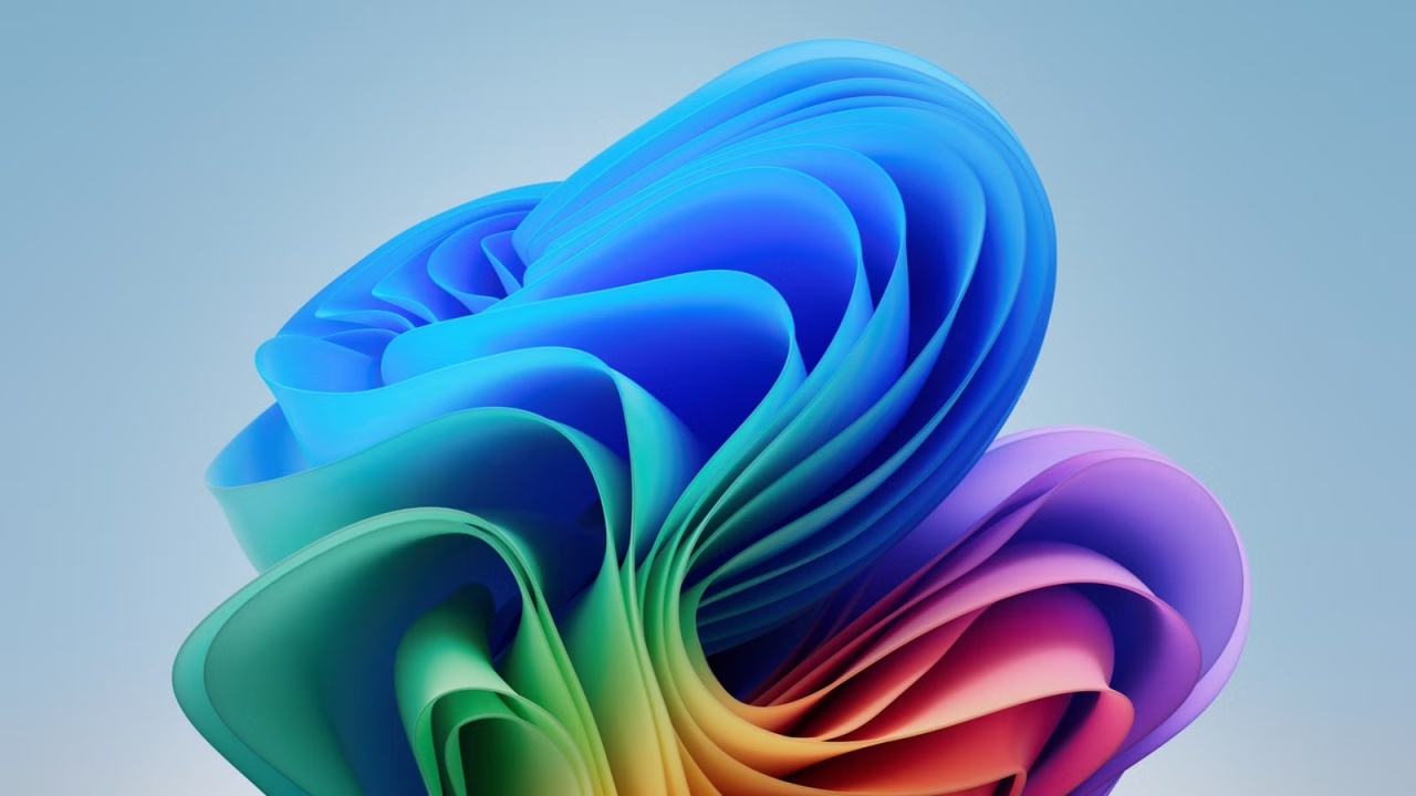 windows 11 wallpaper