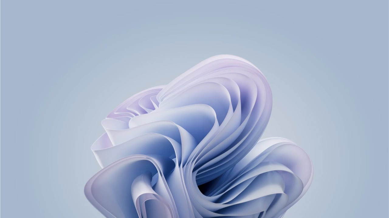Windows 11 wallpaper