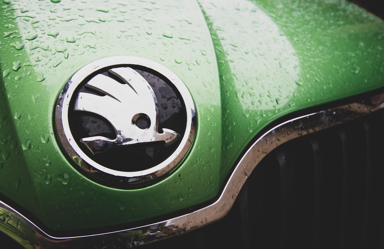 Skoda logo