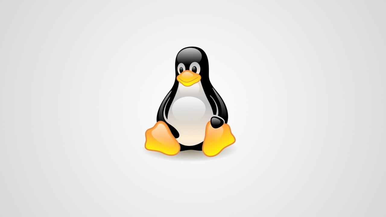 mascote do linux tux