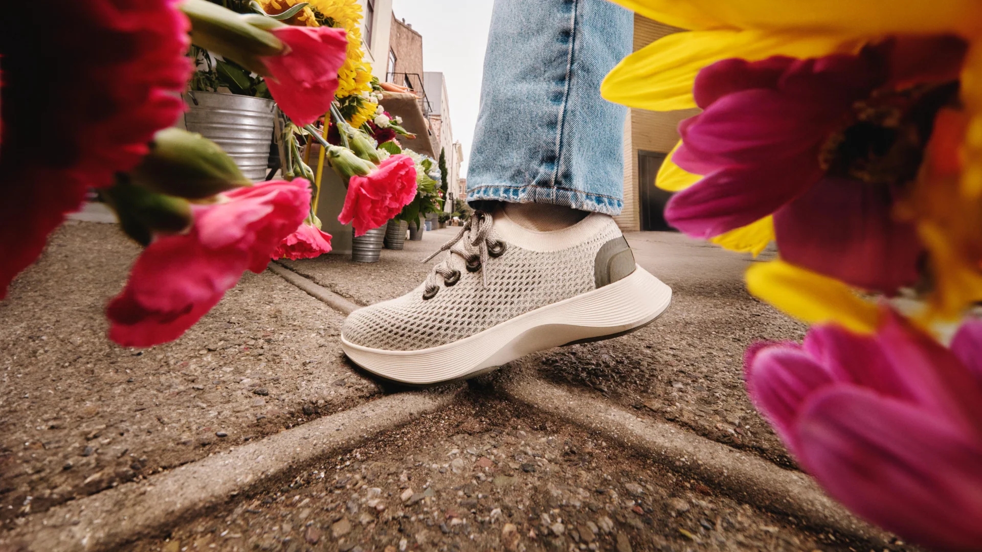 Sapatilhas da Allbirds