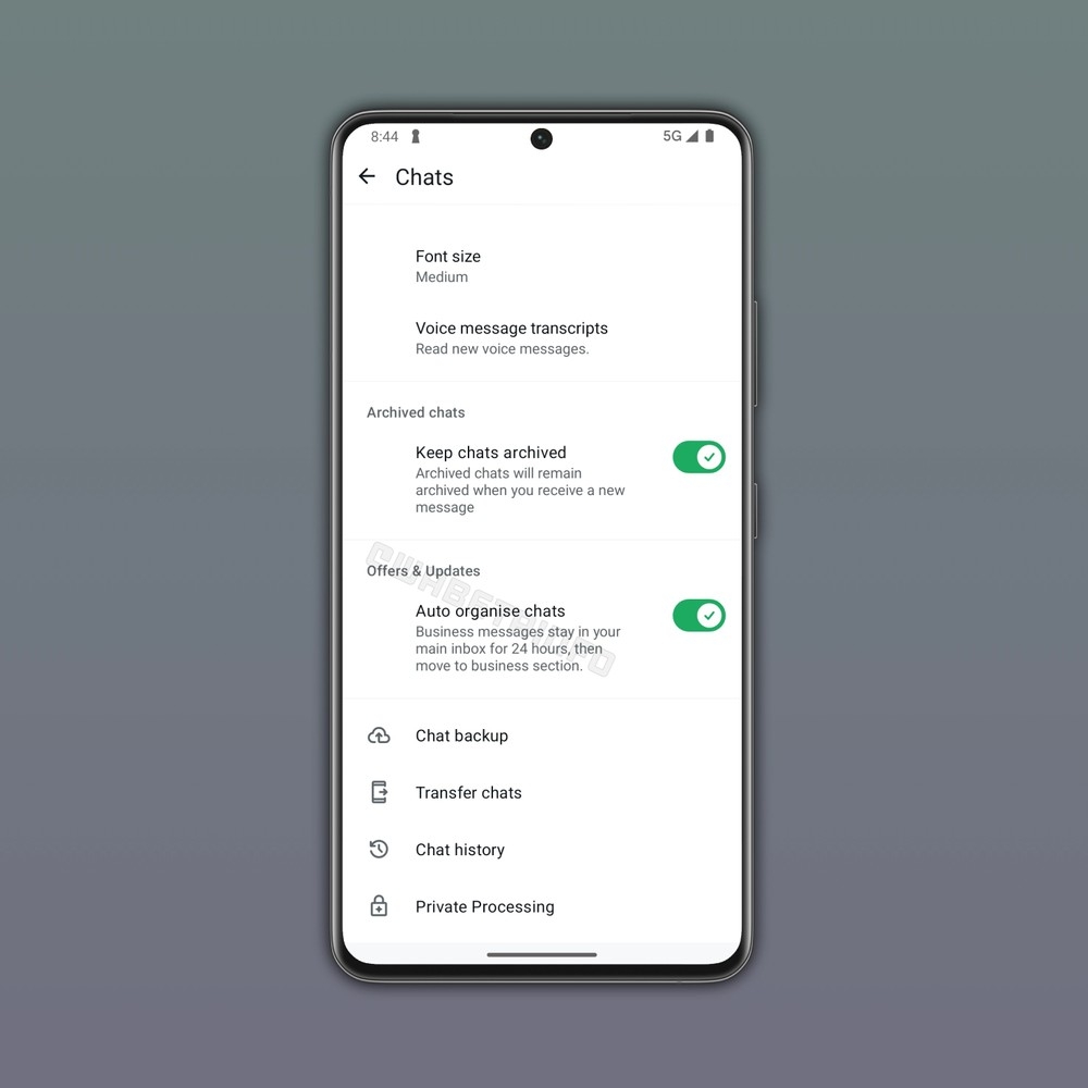WhatsApp com novo sistema de limpeza