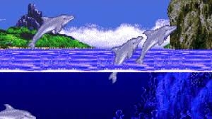 Ecco the Dolphin