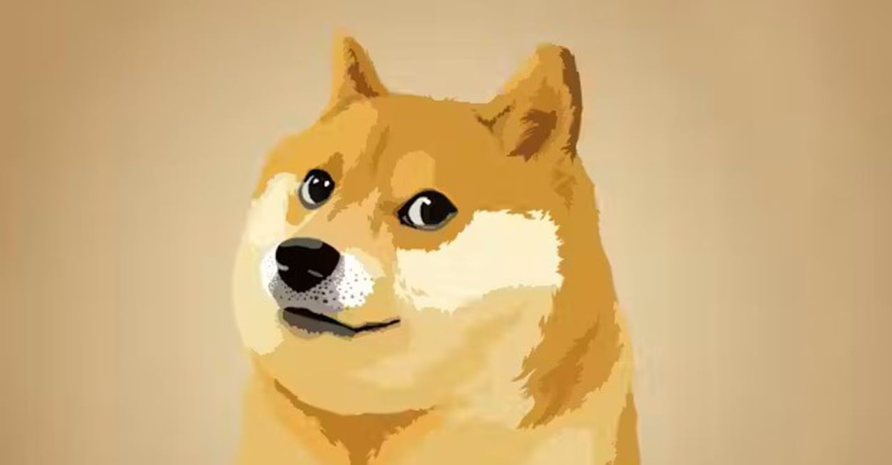 DOGE logo