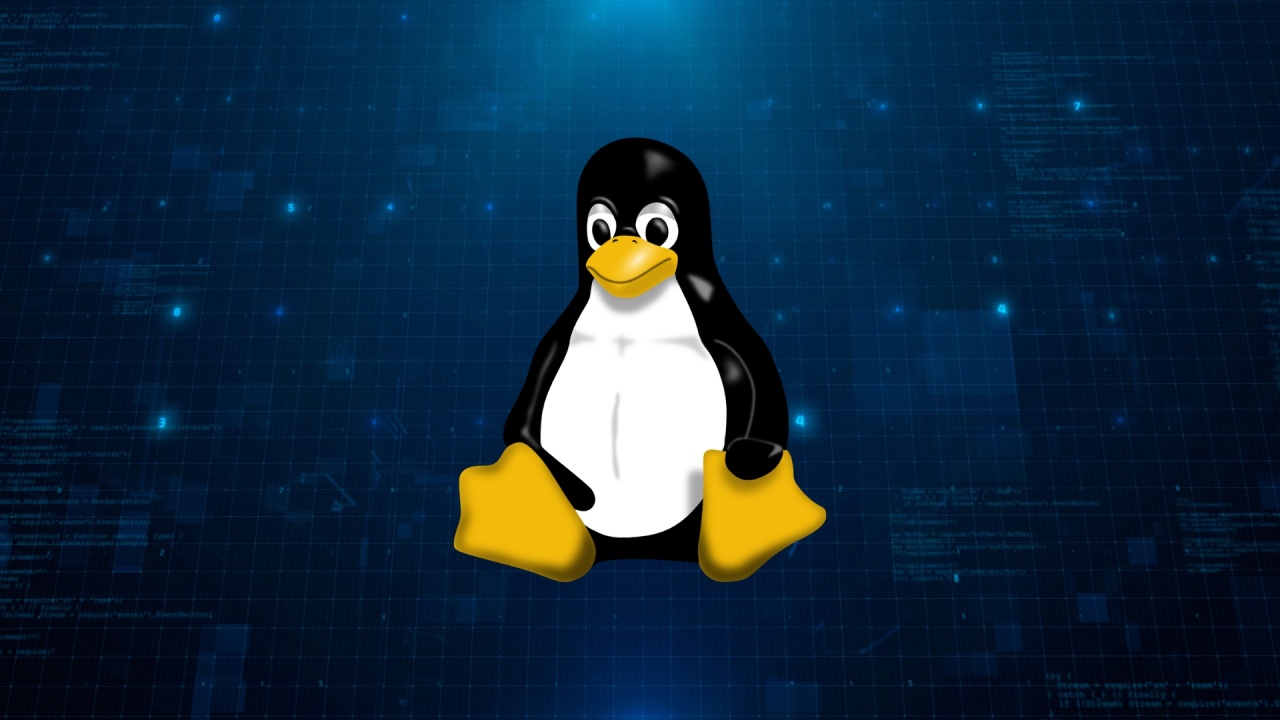 Linux em fundo digital