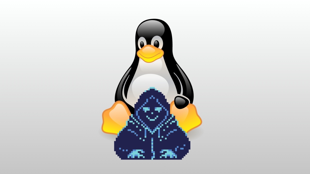 Linux hacker