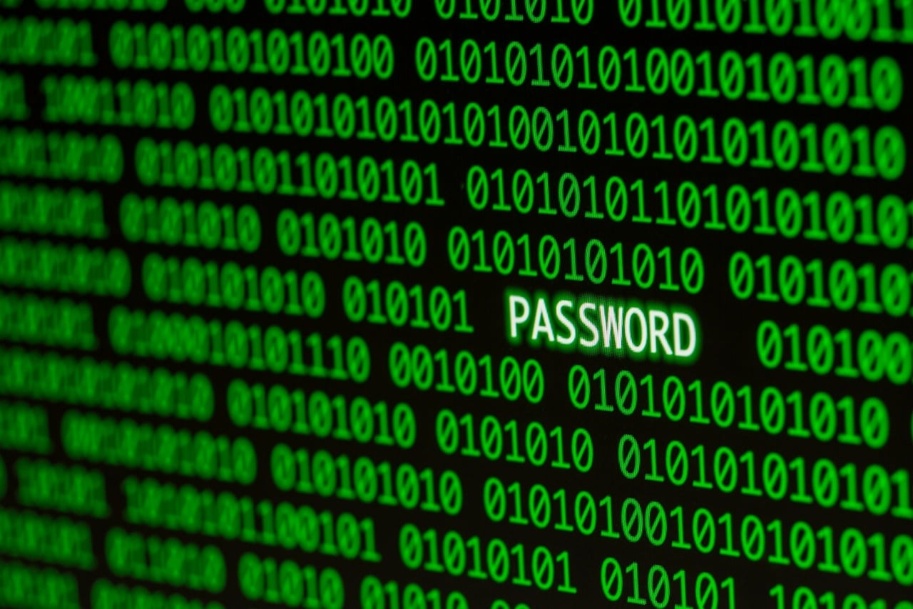 dados digitais password