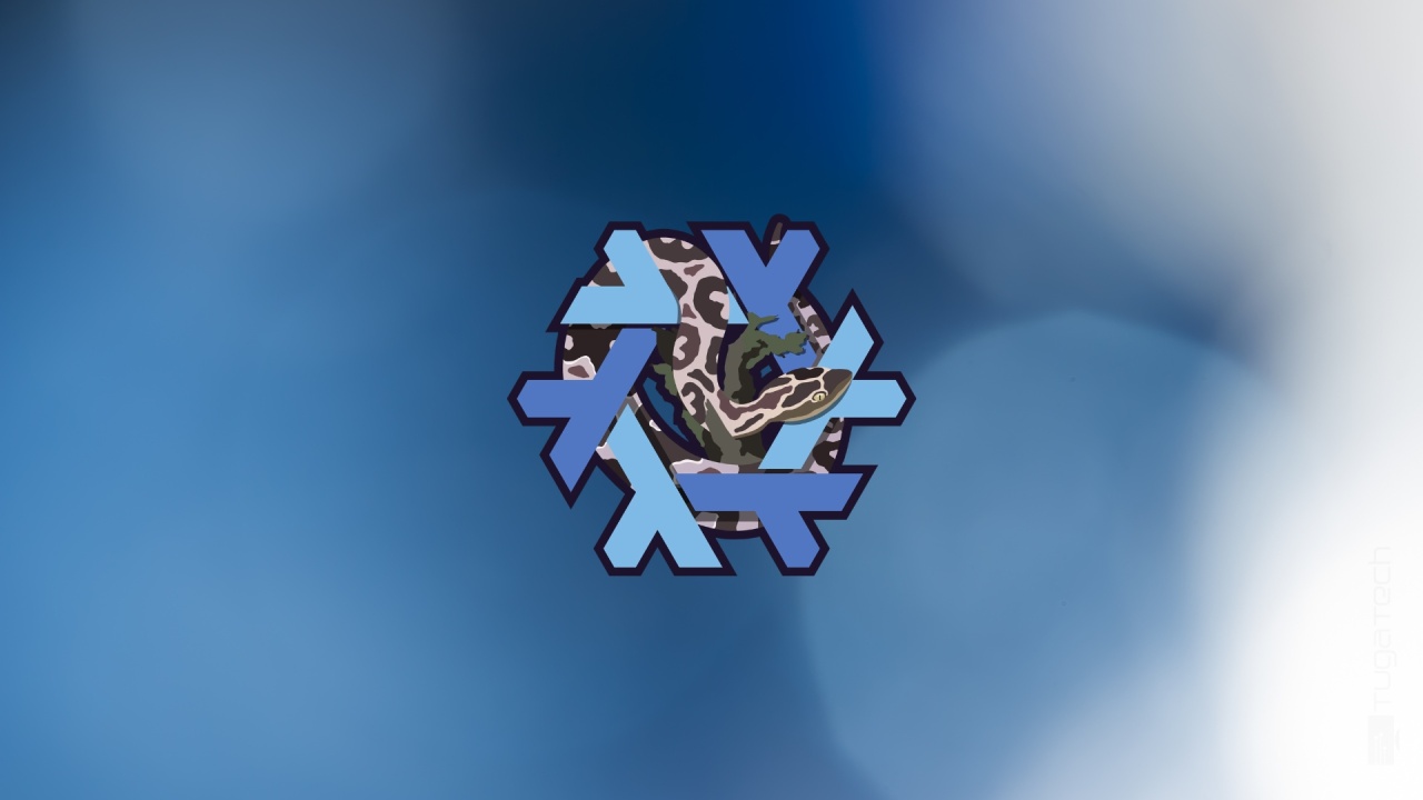 NixOS