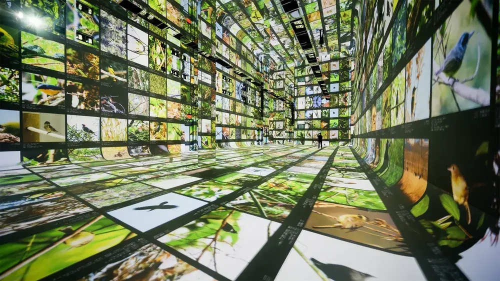 Museu da Google