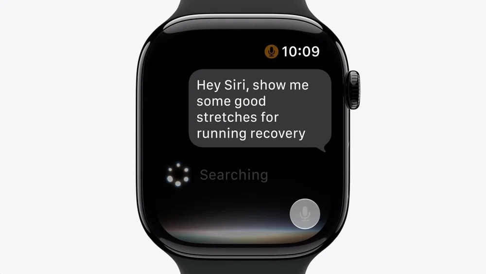 detalhes do sistema presente no apple watch