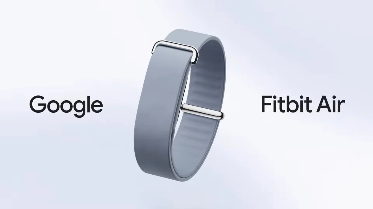 Google Fitbit Air