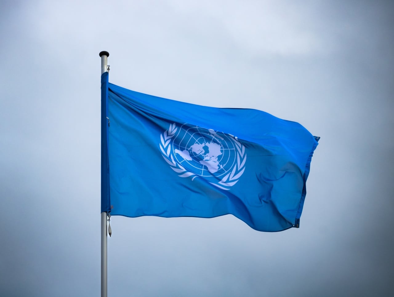 Bandeira da ONU