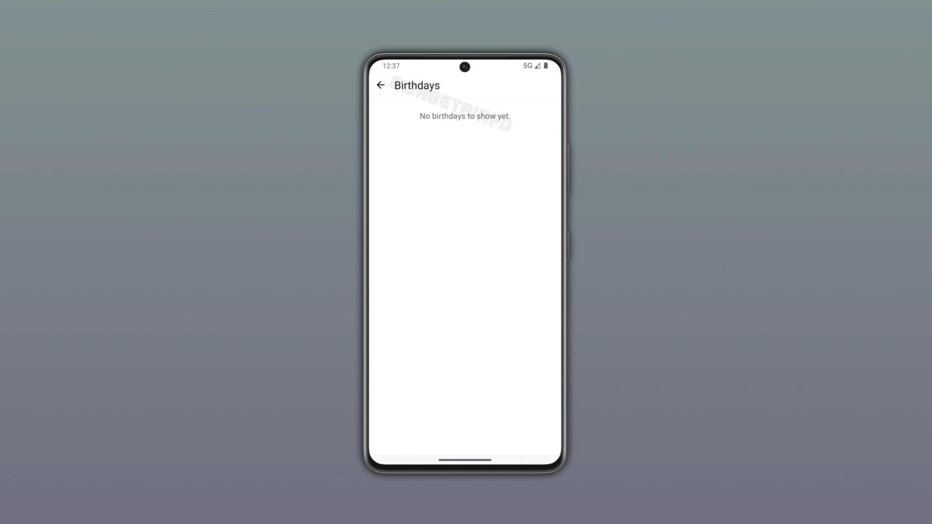 alertas de aniversário no WhatsApp em testes