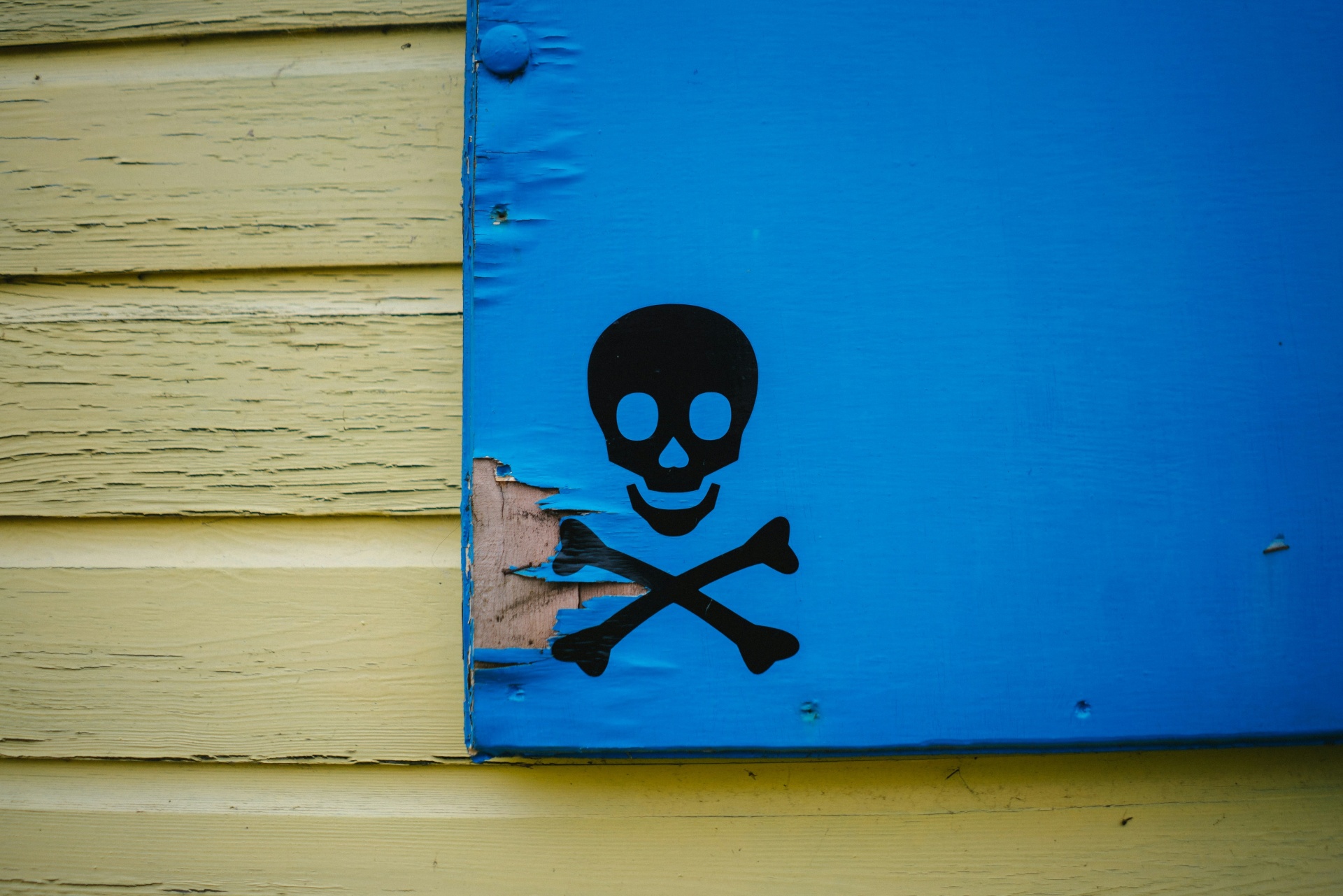 imagem de pirataria em placa de madeira azul
