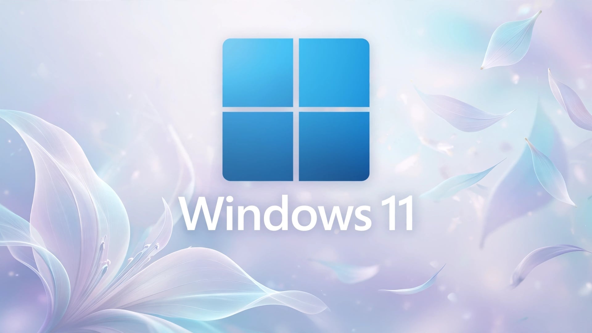 Windows 11