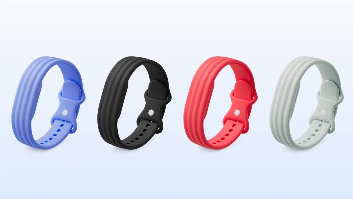 Google Fitbit Air