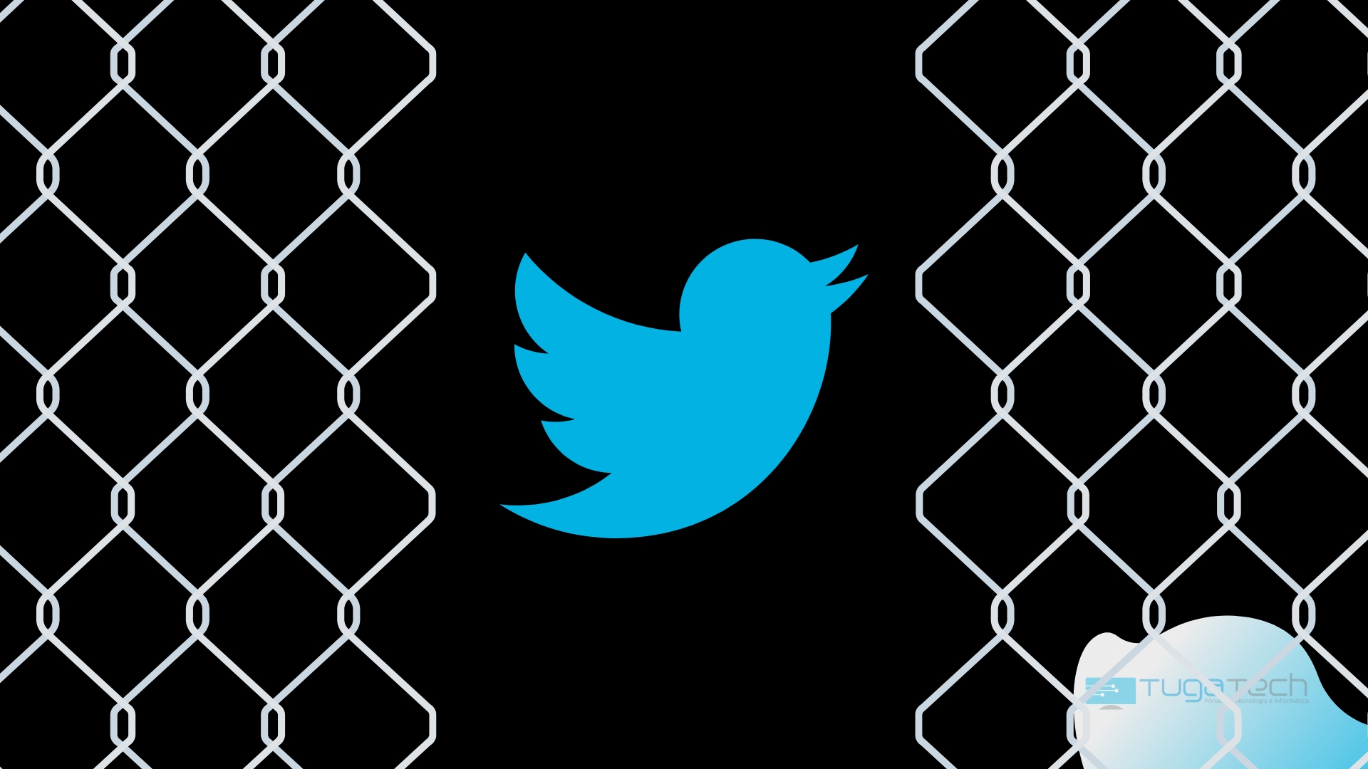 Twitter livre das redes