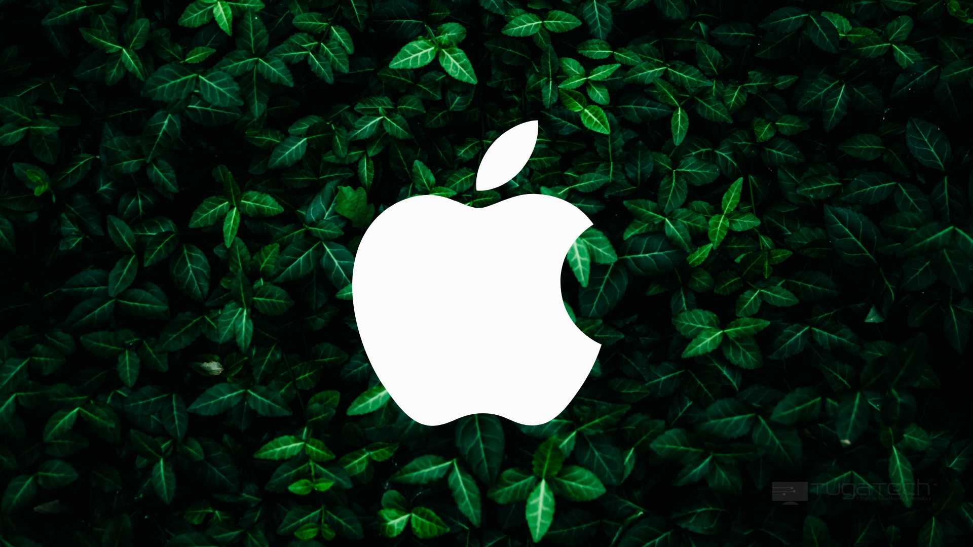 Apple sobre fundo de natureza