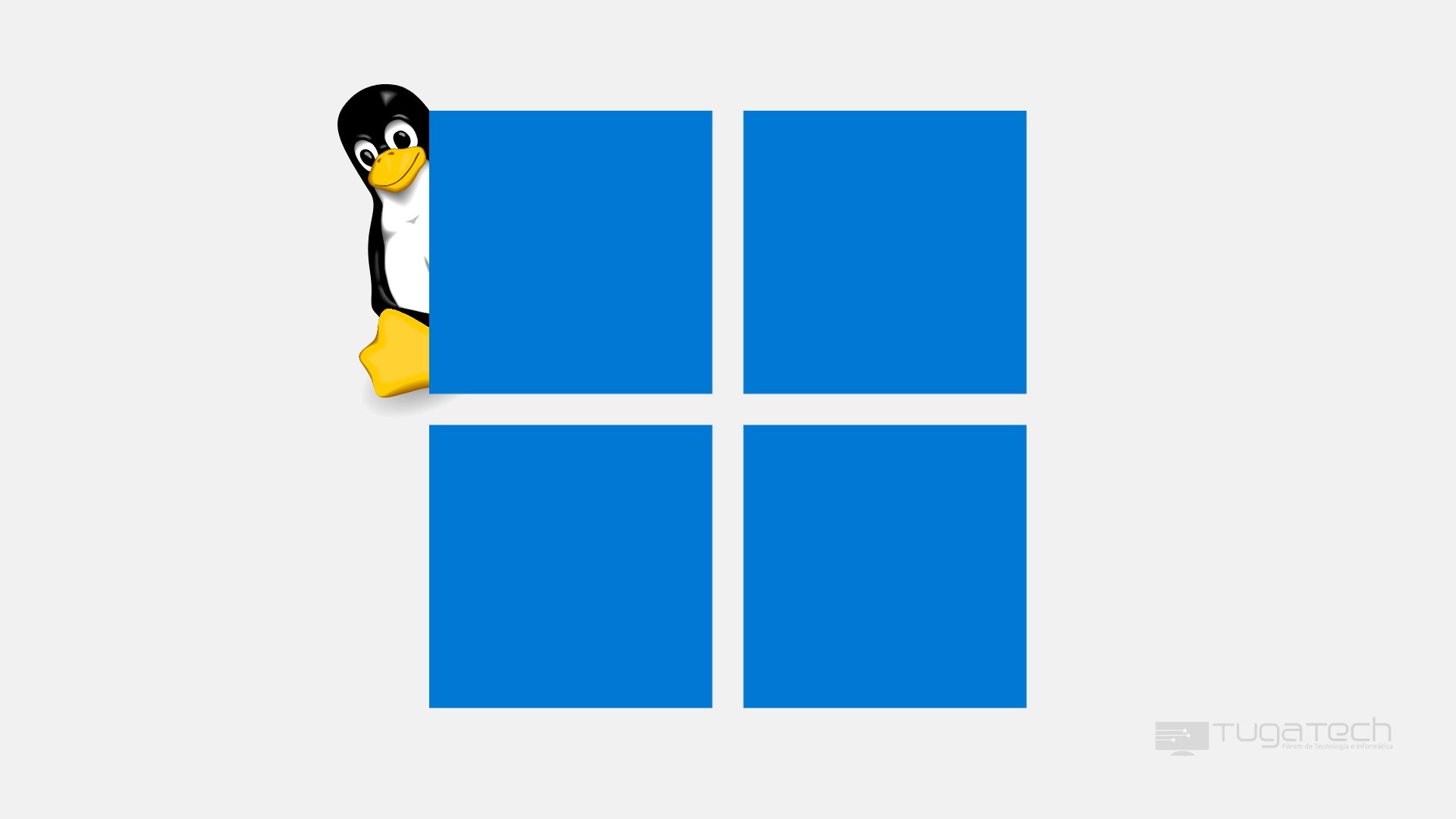 Windows e Linux sobre a mesma imagem