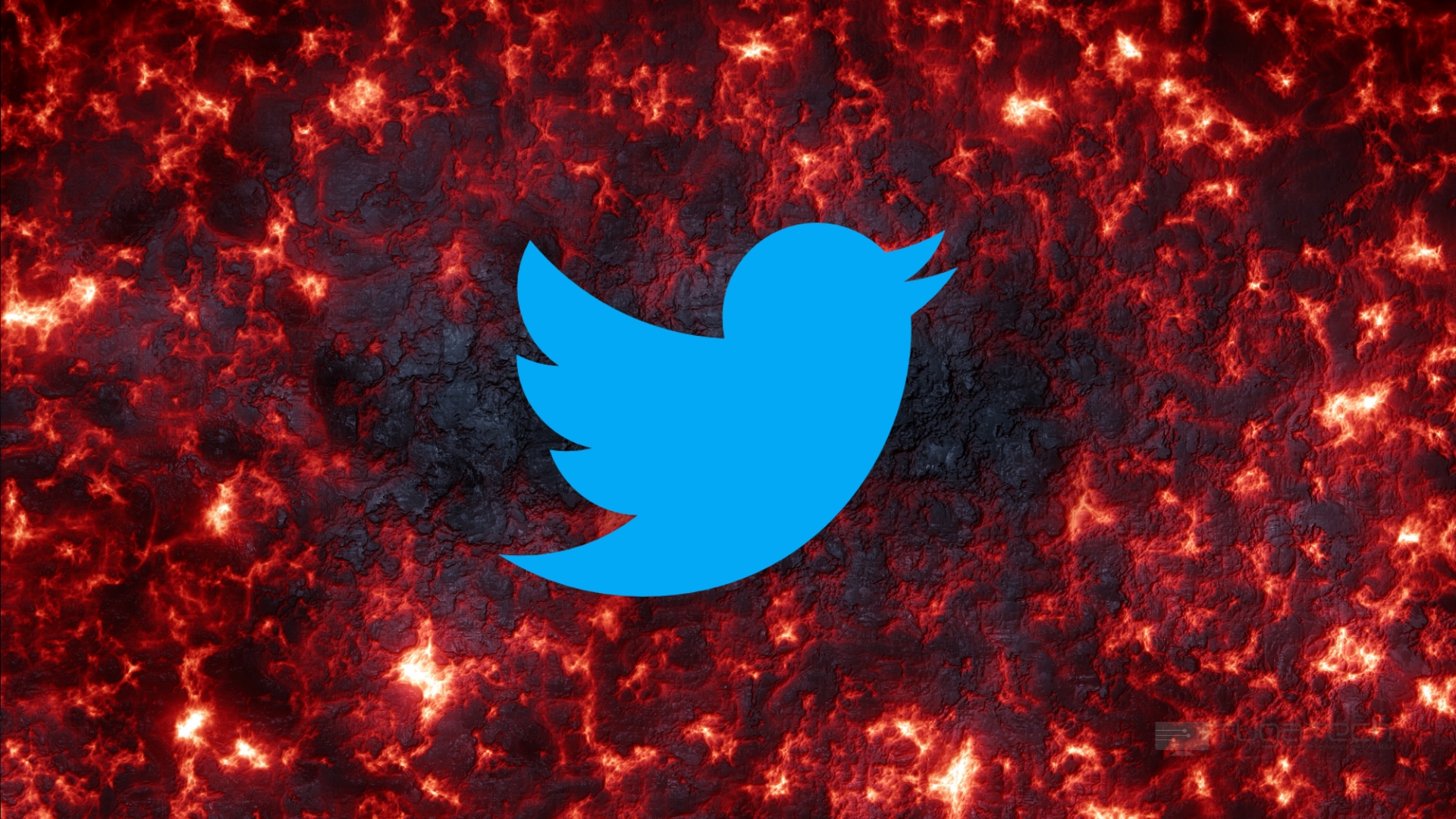 Twitter sobre fogo
