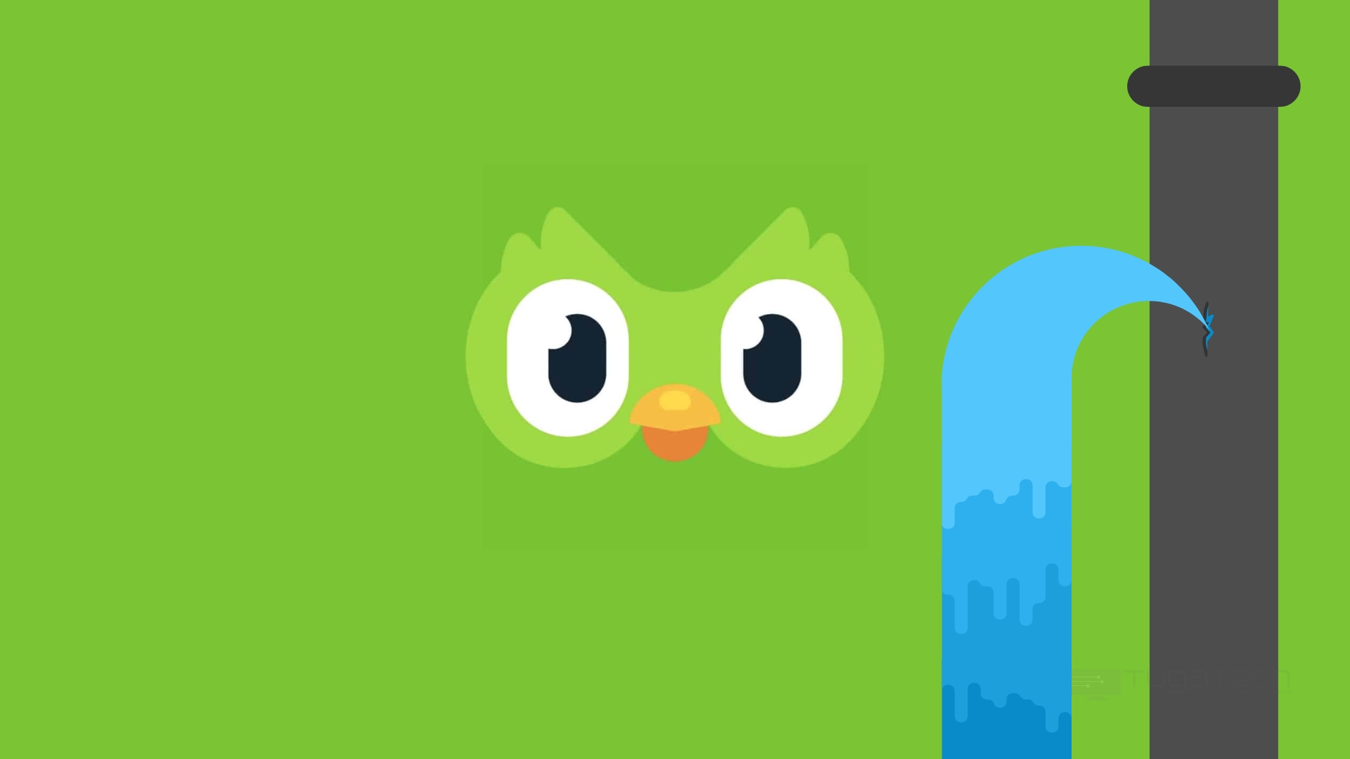 Duolingo leak