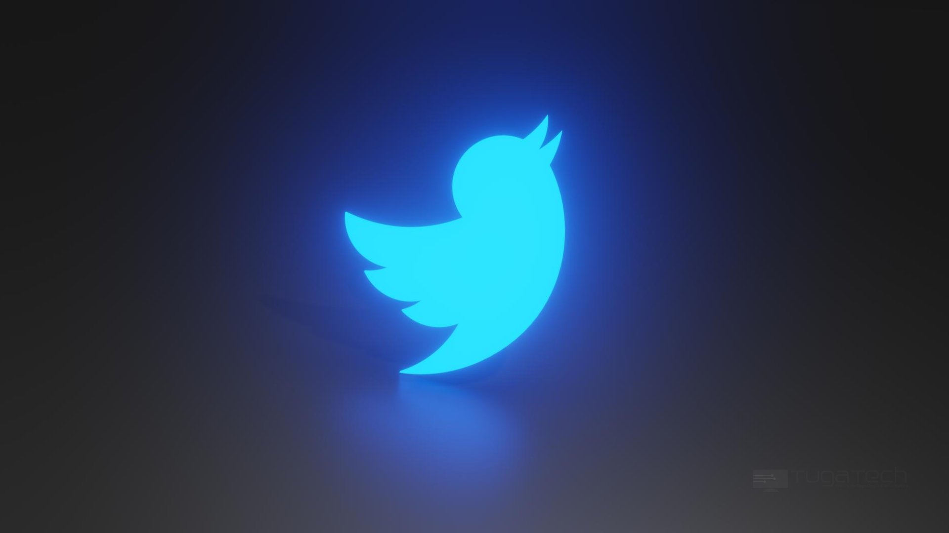 Twitter logo da plataforma em neon