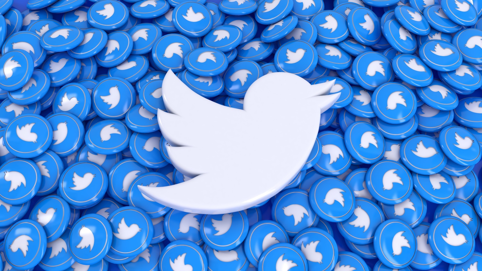 Twitter logo da plataforma