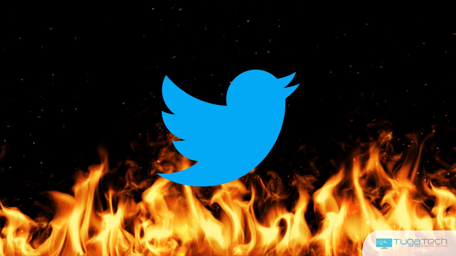 Twitter sobre fogo