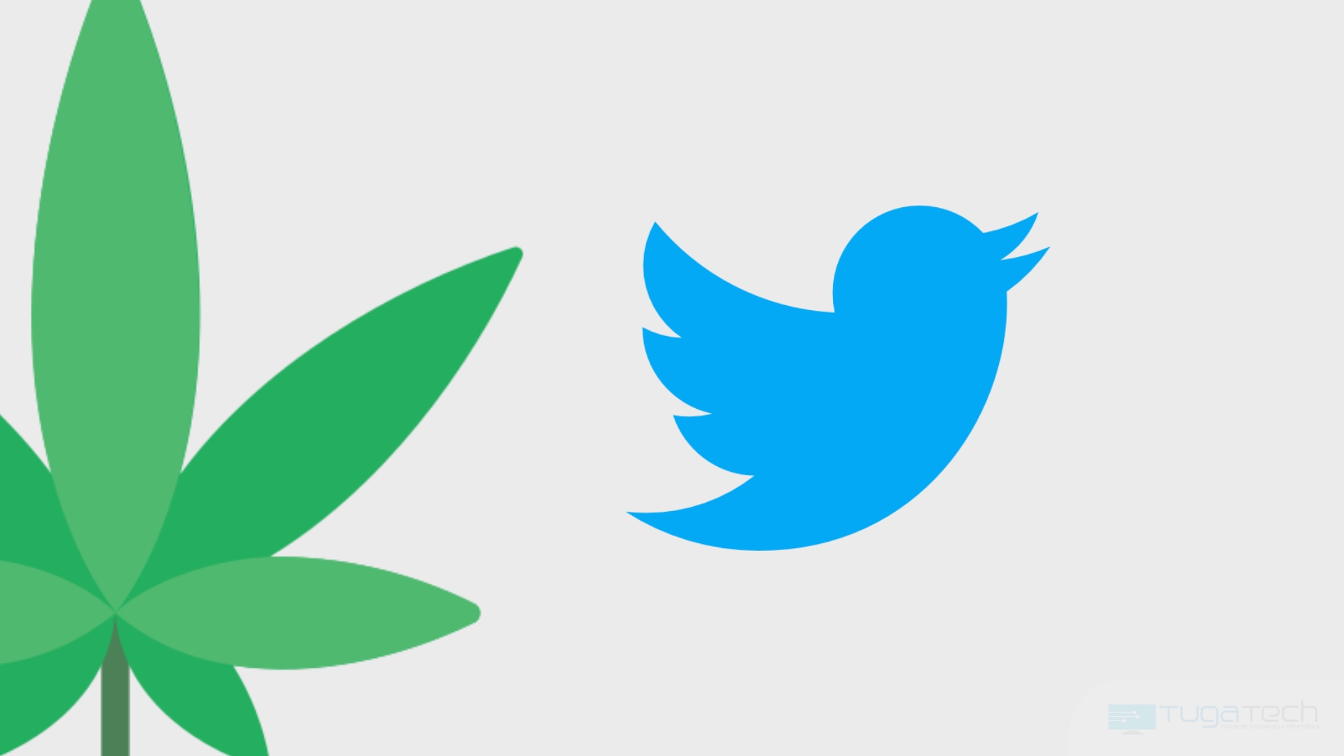 Twitter com folha de canbis
