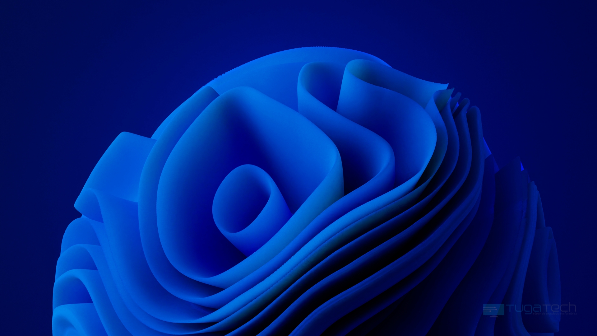 Windows 11 wallpaper