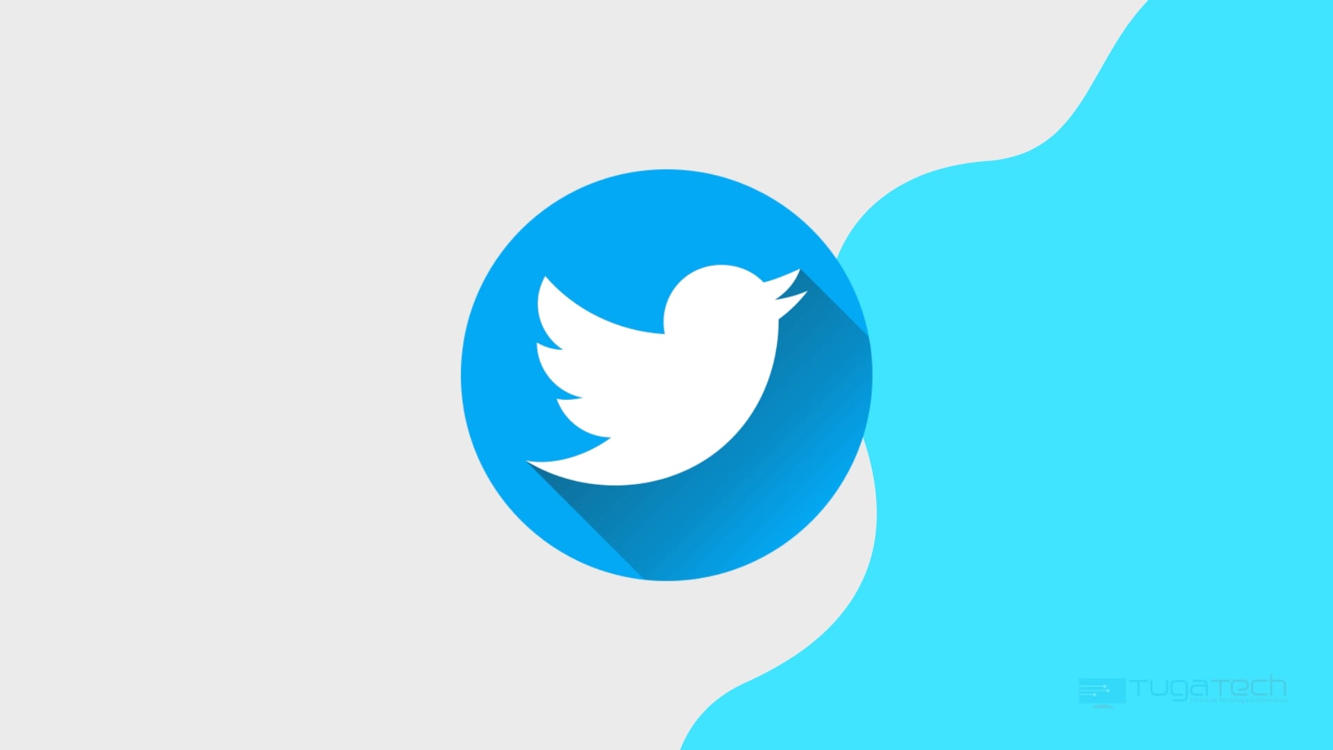 Twitter logo da plataforma
