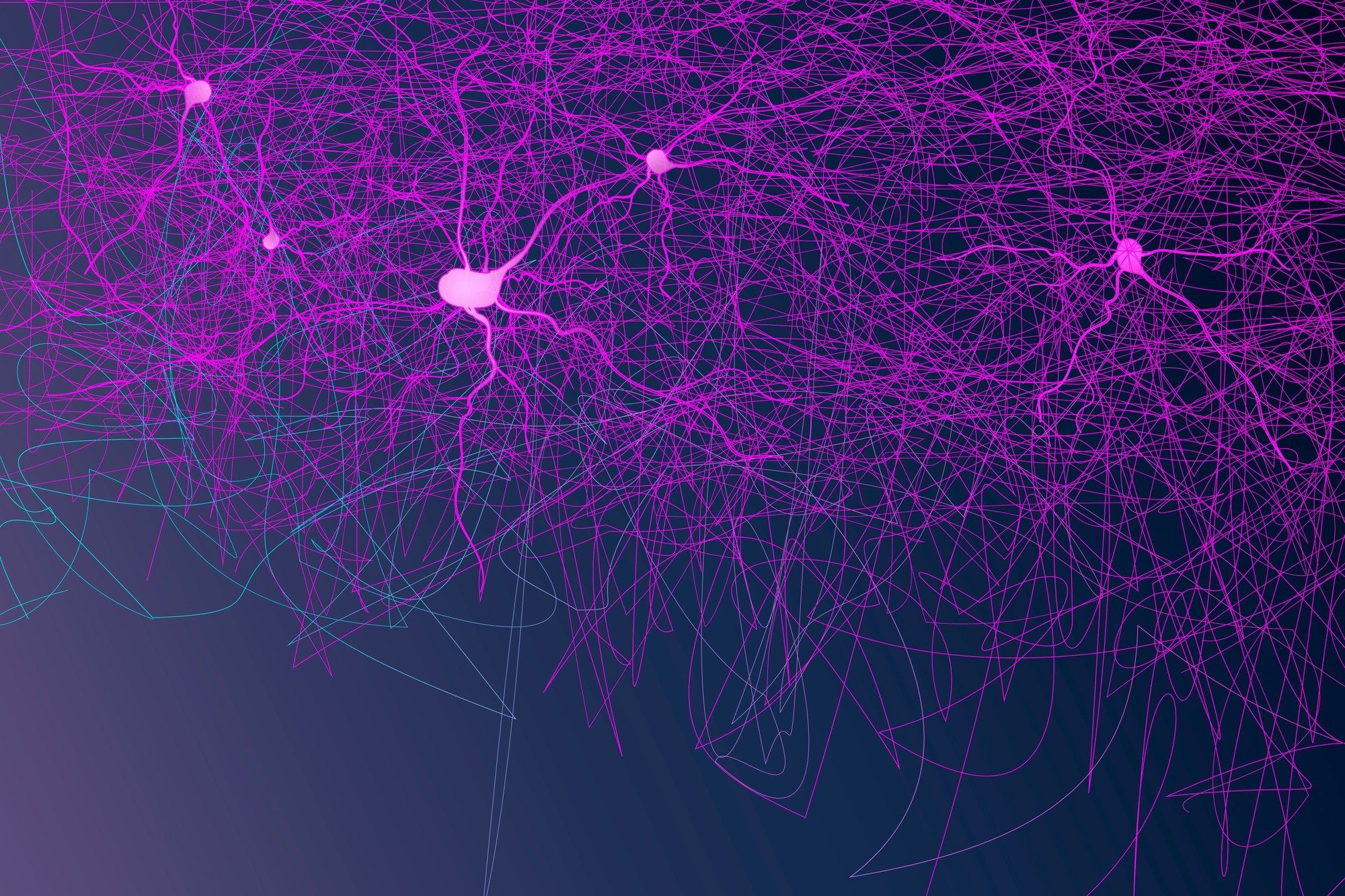Cérebro virtual sobre cor rosa