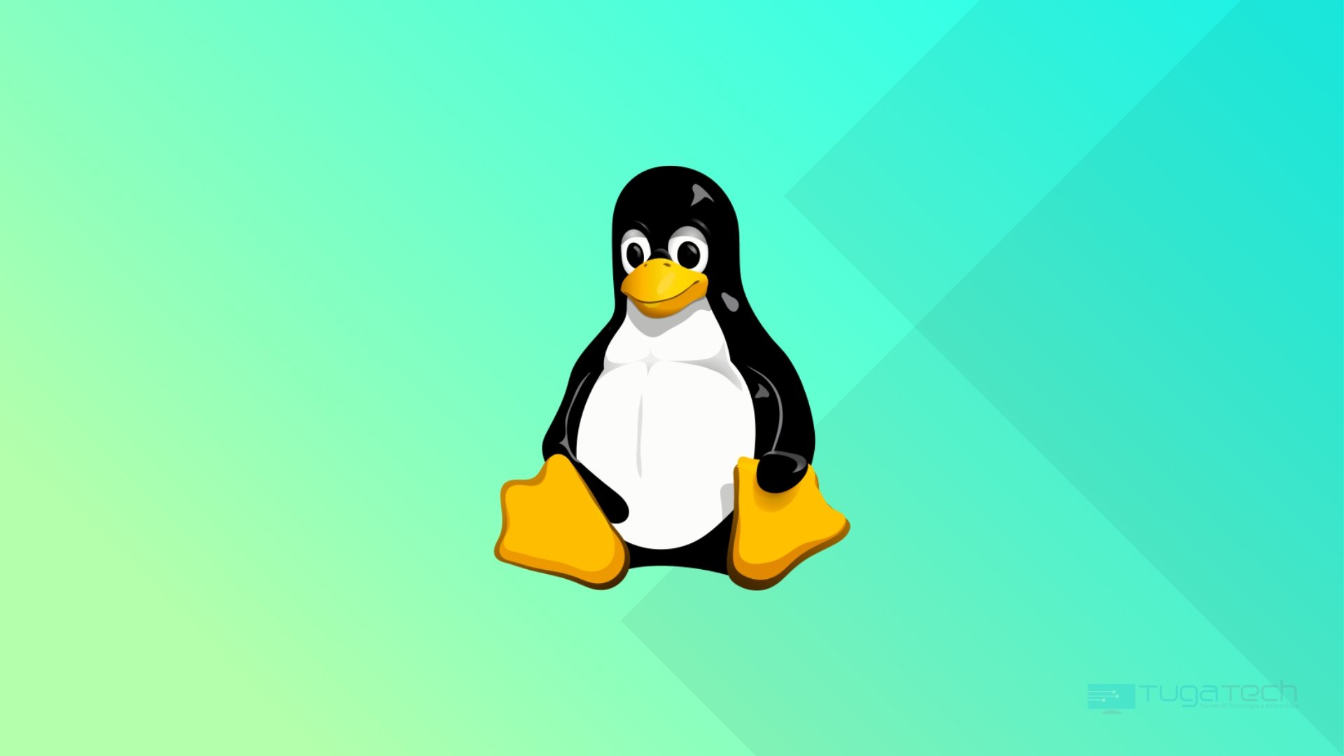 Linux logo da plataforma