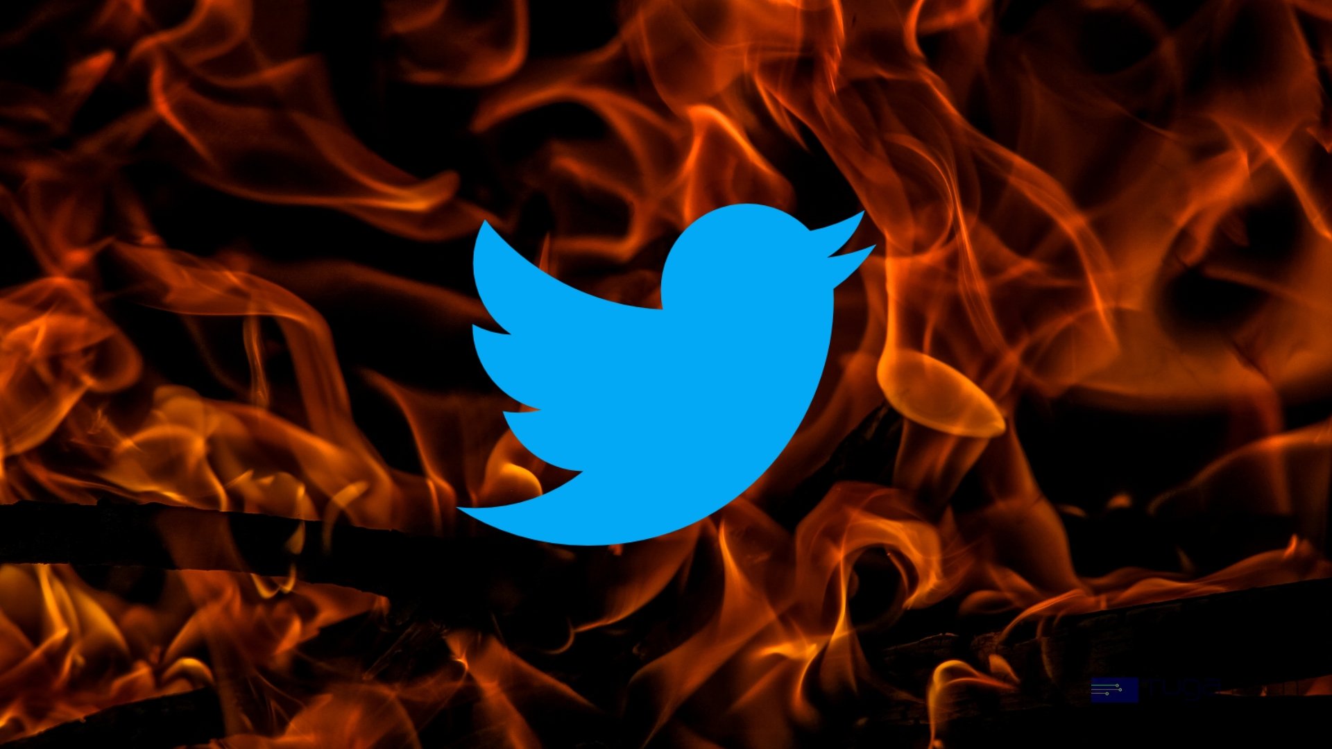 Twitter sob fogo